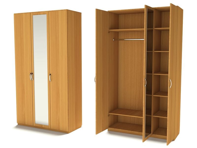Двухсекционный шкаф для одежды с одним зеркалом, Ш-3С (З-1) – купить  недорого в интернет-магазине мебели в СПб