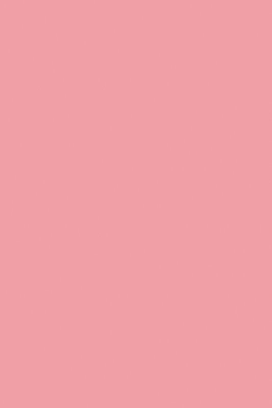 Розовый фламинго фото