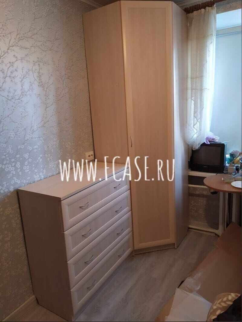 427_443 молочный дуб